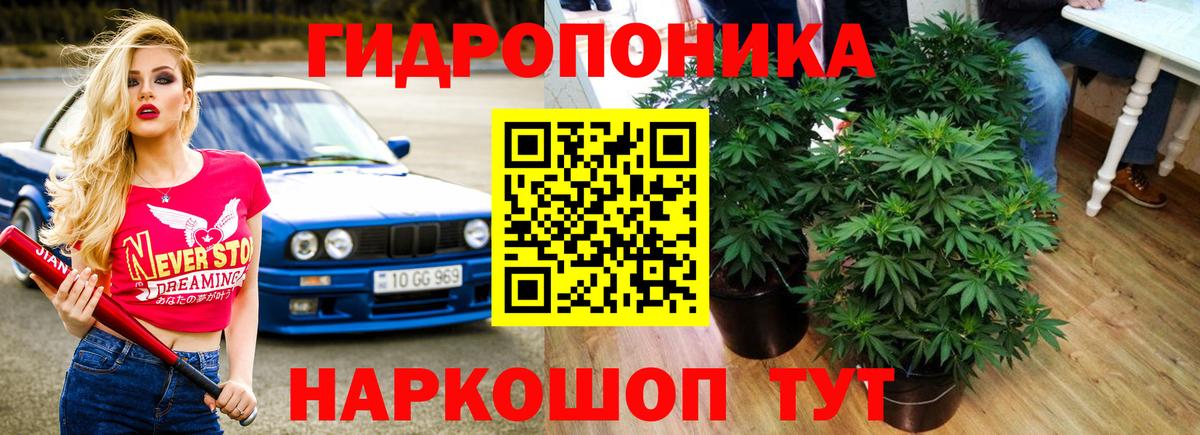 Бошки Шишки гибрид  Вход с VPN  Шишки марихуана Amnesia  Бошки Шишки Bruce Banner  Марихуана Ganja  Ессентуки 